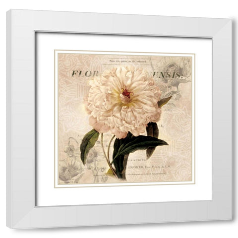 White Peony I White Modern Wood Framed Art Print with Double Matting by Robinson, Carol