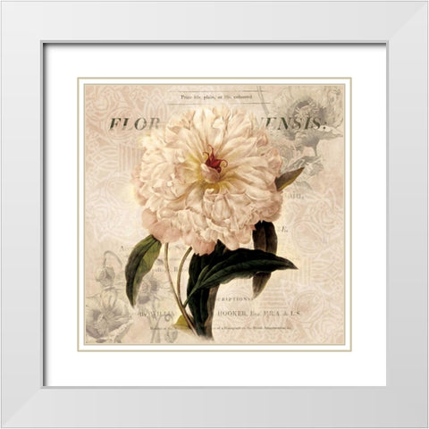 White Peony I White Modern Wood Framed Art Print with Double Matting by Robinson, Carol