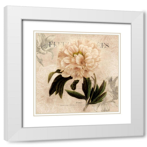 White Peony II White Modern Wood Framed Art Print with Double Matting by Robinson, Carol