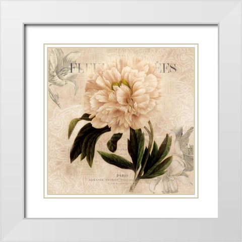 White Peony II White Modern Wood Framed Art Print with Double Matting by Robinson, Carol
