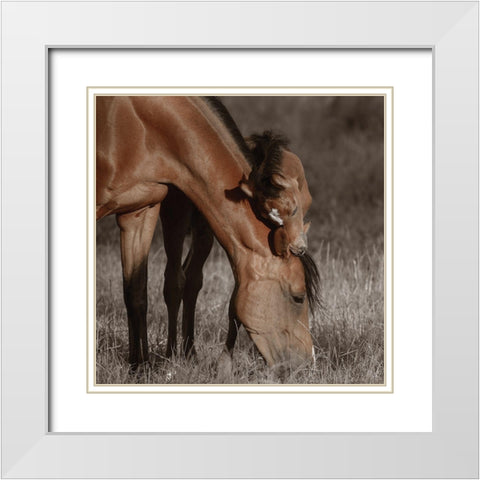 Unbroken Bond White Modern Wood Framed Art Print with Double Matting by Van de Goor, Lars