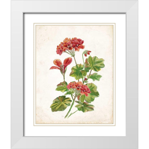 Scarlet Botanical II White Modern Wood Framed Art Print with Double Matting by Nan