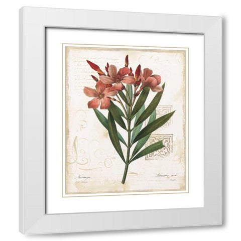 Laurier Rose White Modern Wood Framed Art Print with Double Matting by Robinson, Carol