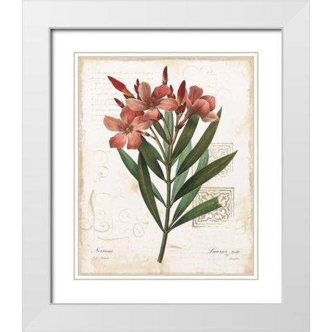 Laurier Rose White Modern Wood Framed Art Print with Double Matting by Robinson, Carol