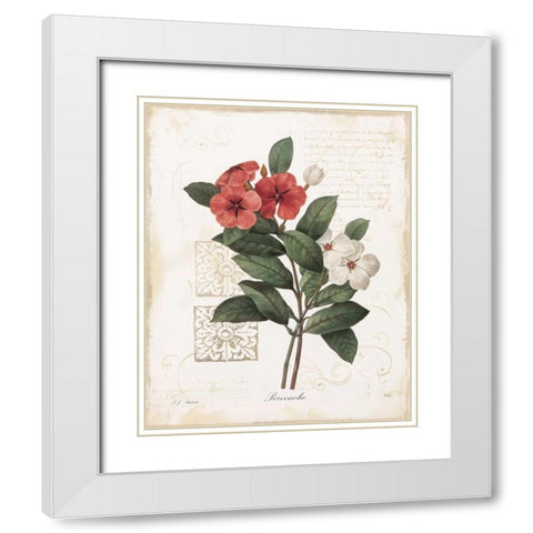Pervenche White Modern Wood Framed Art Print with Double Matting by Robinson, Carol