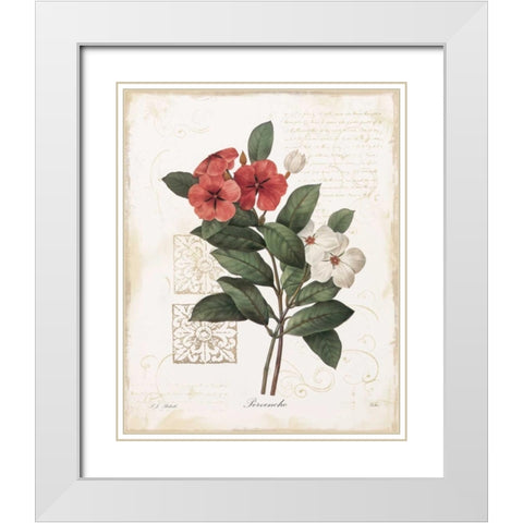 Pervenche White Modern Wood Framed Art Print with Double Matting by Robinson, Carol