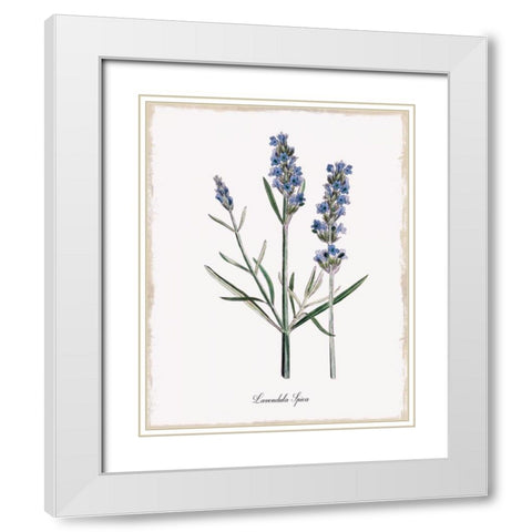 Lavender White Modern Wood Framed Art Print with Double Matting by Donovan, Kelly