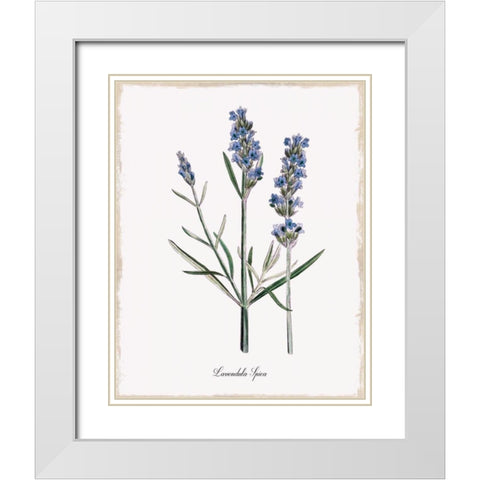 Lavender White Modern Wood Framed Art Print with Double Matting by Donovan, Kelly