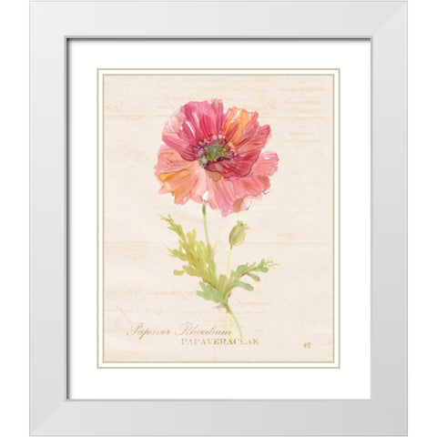 Botanical Poppy White Modern Wood Framed Art Print with Double Matting by Robinson, Carol