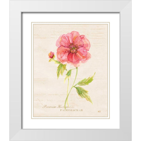 Botanical Peony White Modern Wood Framed Art Print with Double Matting by Robinson, Carol