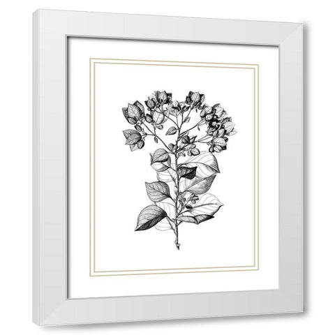 Botanical Black and White Modern Wood Framed Art Print with Double Matting by Donovan, Kelly