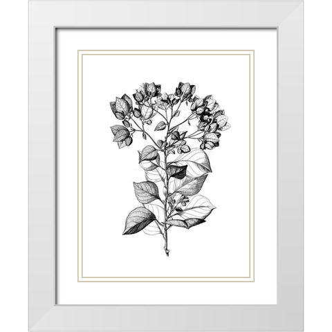 Botanical Black and White Modern Wood Framed Art Print with Double Matting by Donovan, Kelly