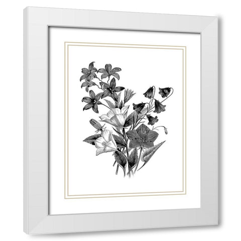 Botanical Black and White Modern Wood Framed Art Print with Double Matting by Donovan, Kelly