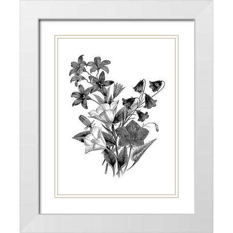 Botanical Black and White Modern Wood Framed Art Print with Double Matting by Donovan, Kelly