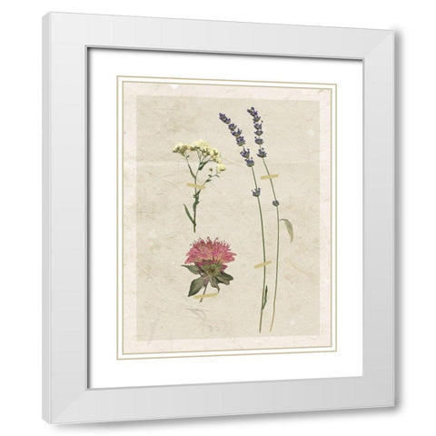 Pressed Lavender I White Modern Wood Framed Art Print with Double Matting by Robinson, Carol