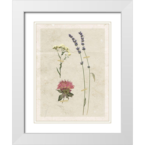 Pressed Lavender I White Modern Wood Framed Art Print with Double Matting by Robinson, Carol
