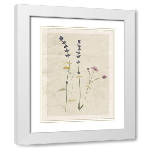 Pressed Lavender White Modern Wood Framed Art Print with Double Matting by Robinson, Carol