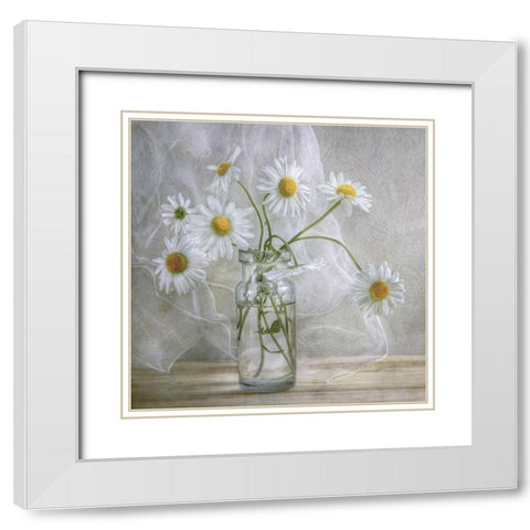 Daisies White Modern Wood Framed Art Print with Double Matting by Disher, Mandy