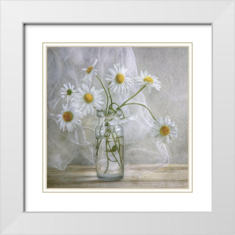 Daisies White Modern Wood Framed Art Print with Double Matting by Disher, Mandy