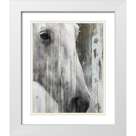Contemplation White Modern Wood Framed Art Print with Double Matting by Robinson, Carol