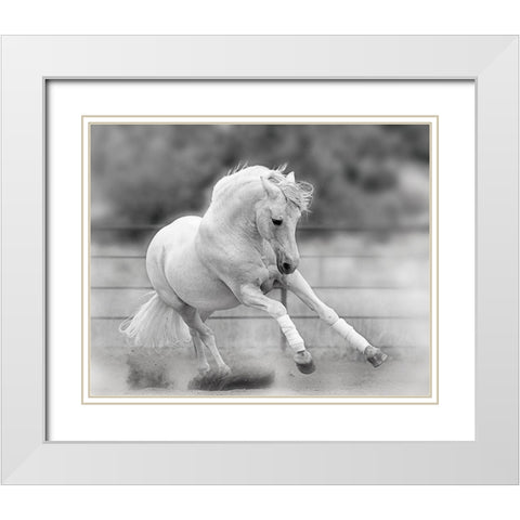 All For Show White Modern Wood Framed Art Print with Double Matting by Klopfer, Lee