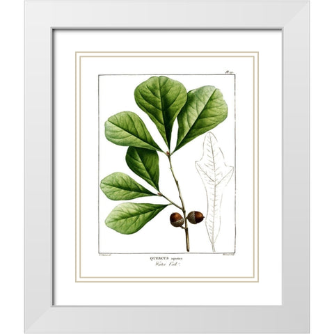 White Oak White Modern Wood Framed Art Print with Double Matting by Donovan, Kelly