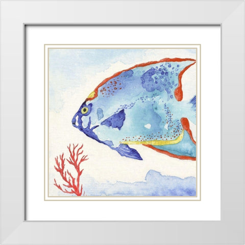 Galapagos Fish II White Modern Wood Framed Art Print with Double Matting by Tava Studios