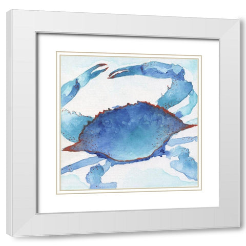 Galapagos Crab White Modern Wood Framed Art Print with Double Matting by Tava Studios