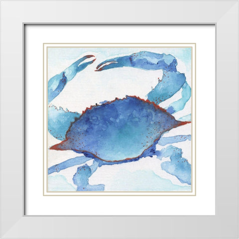 Galapagos Crab White Modern Wood Framed Art Print with Double Matting by Tava Studios