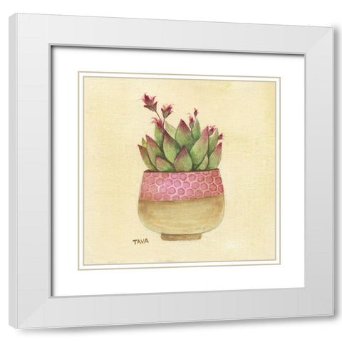 Flowering Succulent I White Modern Wood Framed Art Print with Double Matting by Tava Studios