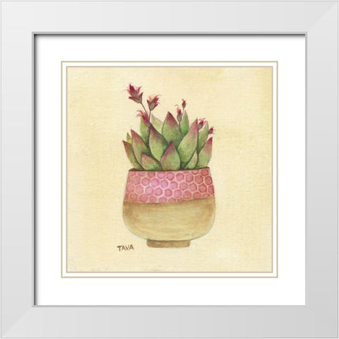 Flowering Succulent I White Modern Wood Framed Art Print with Double Matting by Tava Studios