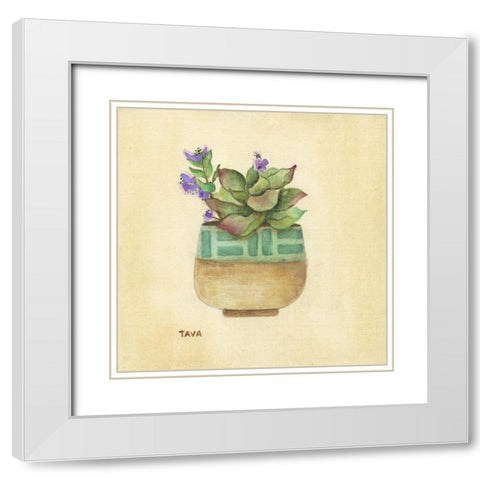 Flowering Succulent II White Modern Wood Framed Art Print with Double Matting by Tava Studios