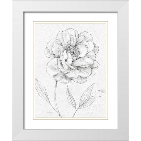 Peony Sketch White Modern Wood Framed Art Print with Double Matting by Robinson, Carol