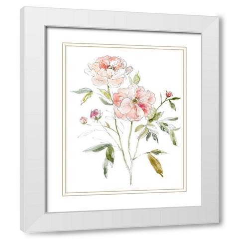 Sketchbook Cottage Rose I White Modern Wood Framed Art Print with Double Matting by Robinson, Carol