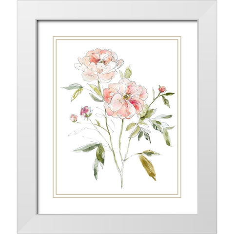 Sketchbook Cottage Rose I White Modern Wood Framed Art Print with Double Matting by Robinson, Carol