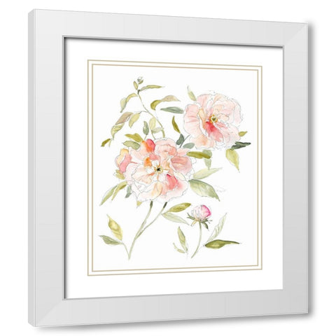 Sketchbook Cottage Rose II White Modern Wood Framed Art Print with Double Matting by Robinson, Carol