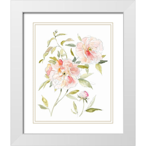 Sketchbook Cottage Rose II White Modern Wood Framed Art Print with Double Matting by Robinson, Carol
