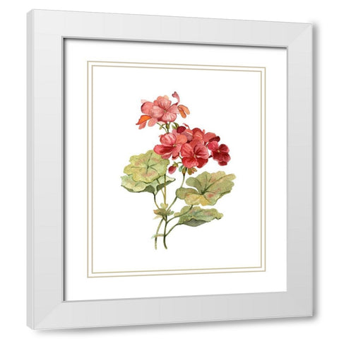 Scarlet Geranium White Modern Wood Framed Art Print with Double Matting by Robinson, Carol