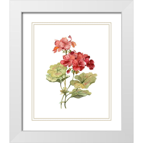 Scarlet Geranium White Modern Wood Framed Art Print with Double Matting by Robinson, Carol
