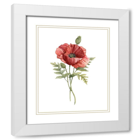 Scarlet Poppy White Modern Wood Framed Art Print with Double Matting by Robinson, Carol