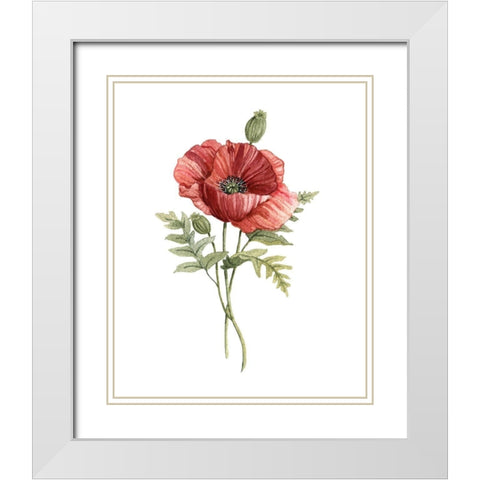 Scarlet Poppy White Modern Wood Framed Art Print with Double Matting by Robinson, Carol