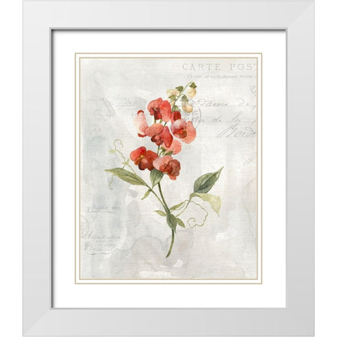 Linen Sweet Pea White Modern Wood Framed Art Print with Double Matting by Robinson, Carol