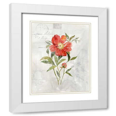 Linen Peony White Modern Wood Framed Art Print with Double Matting by Robinson, Carol