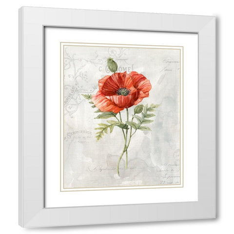 Linen Poppy White Modern Wood Framed Art Print with Double Matting by Robinson, Carol