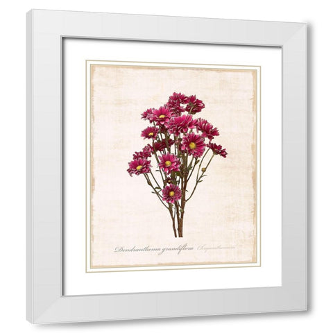 Sketchbook Chrysanthemum White Modern Wood Framed Art Print with Double Matting by Carpentieri, Natalie