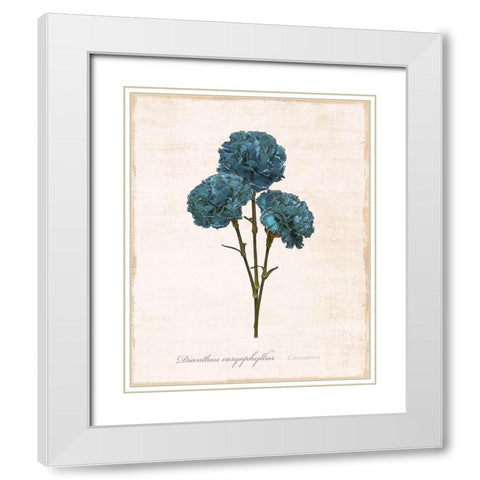 Sketchbook Carnation White Modern Wood Framed Art Print with Double Matting by Carpentieri, Natalie