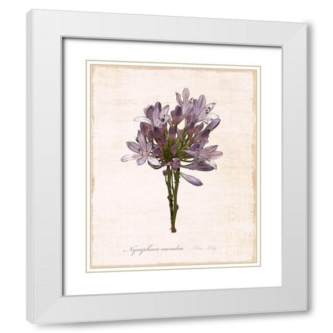 Sketchbook Lily White Modern Wood Framed Art Print with Double Matting by Carpentieri, Natalie