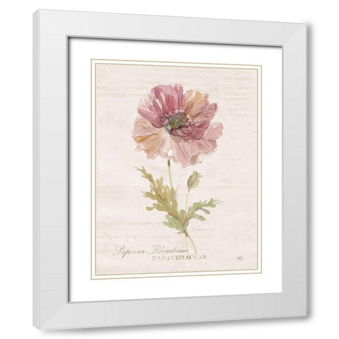Soft Poppy White Modern Wood Framed Art Print with Double Matting by Robinson, Carol