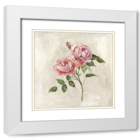 Botanical Beauties I White Modern Wood Framed Art Print with Double Matting by Swatland, Sally