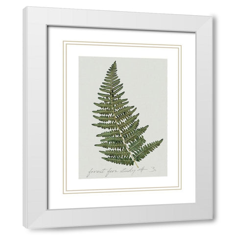 Fern Studies I White Modern Wood Framed Art Print with Double Matting by Robinson, Carol